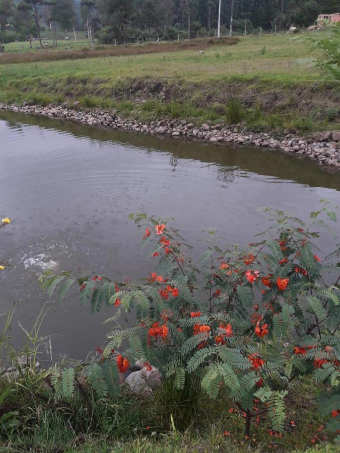 Pousada Requinte Ponto Rural Urubici Exteriör bild